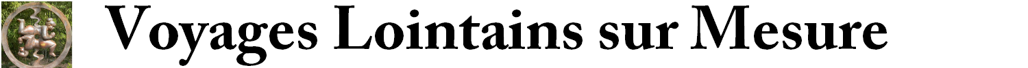 Voyages Lointains sur Mesure Logo